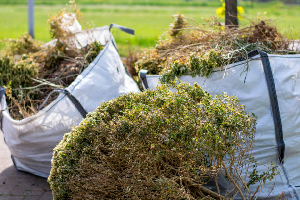 Best Same-Day Junk Removal  in Hedwig Village, TX